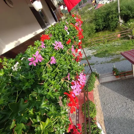 Homestay szállás Bianca
