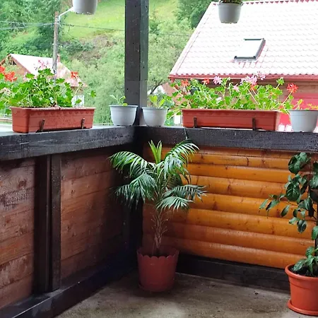 Bianca Homestay szállás Lepus