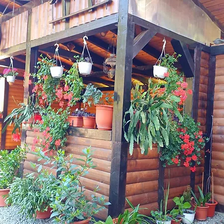Homestay szállás Bianca